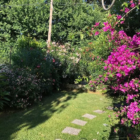 Apartment 2 Bedroom Spacious Garden Kanoni (Corfu)