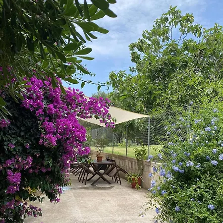 Apartment 2 Bedroom Spacious Garden